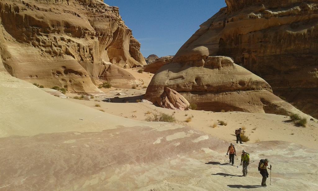 Salem Camp Hotel Wadi Rum Exterior foto