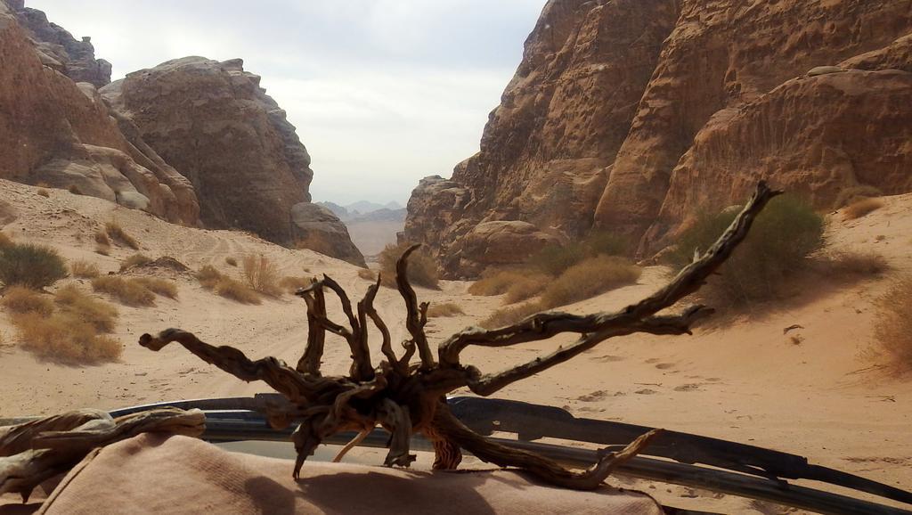 Salem Camp Hotel Wadi Rum Exterior foto